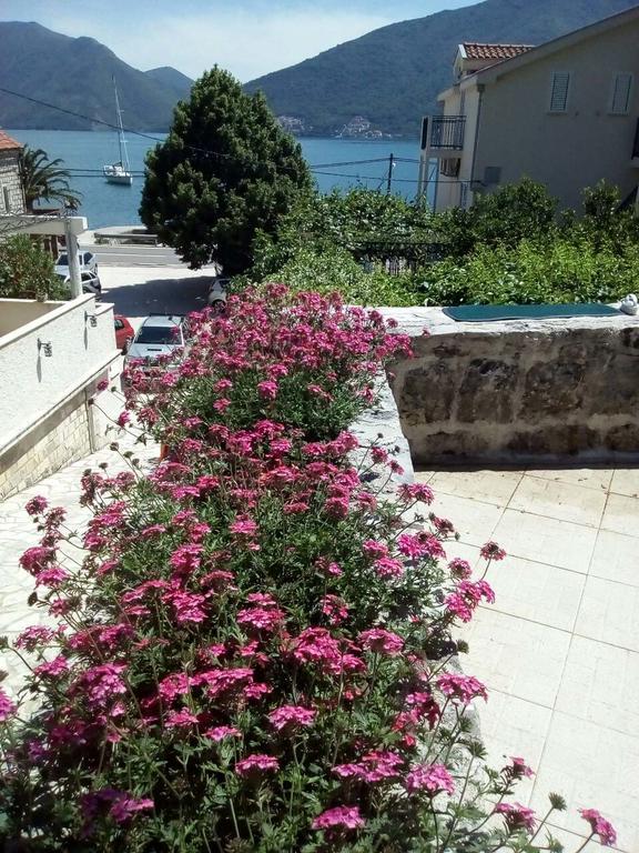 Apartmani Villa Radovic Risan Dış mekan fotoğraf